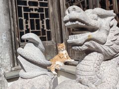 -苏州上方山国家森林公园