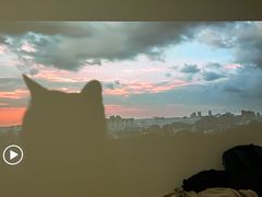 -喜茶(泰州泰兴吾悦广场店)