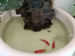 -卡尔诗·科技美肤连锁