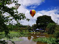 -中国科学院西双版纳热带植物园