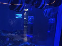 -上和臻品中国菜(花园街店)