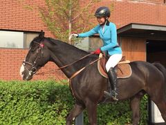 -月河湾马术俱乐部(朝阳店)