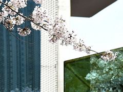 -龙美术馆(西岸馆)