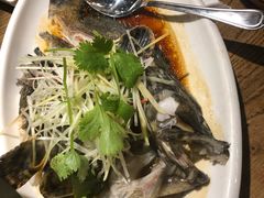葱油石斑鱼-潮中人·潮州菜(益乐路店)