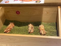 -炖物24章·顺时轻养茶(杭州保利时光里店)