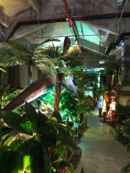 -恐龙探索乐园(磁器口店)