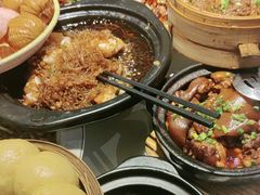 -新概念来凤鱼(璧山店)