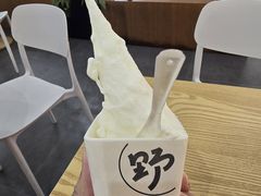 -野人先生Gelato(上海长宁龙之梦店)