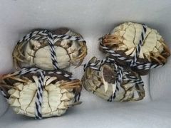 -丫丫蟹庄·苏式园林农家乐·阳澄湖大闸蟹(阳澄湖莲花岛店)