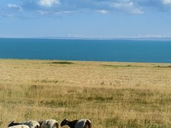 -青海湖国家重点风景名胜区