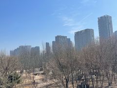 -长白岛森林公园