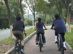 -凤岗南门山森林公园