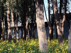 -森林公园(尖草坪区)