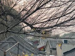 -元古本店(南锣鼓巷店)