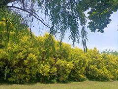 -白鹭湾湿地公园