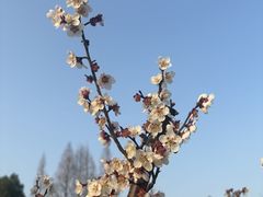 -南湖湿地公园