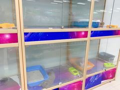 -乐宠宠物店(世纪金源店)