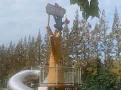 -前小桔亲子创意农场·草莓采摘·露营烧烤