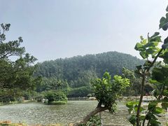 -南沙蒲洲花园