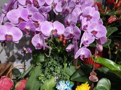 -何兮花店·气球派对鲜花店(马桥银春路万科城店)