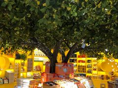 -金顺昌桂林桂花伴手礼(正阳一店)