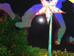 -幻彩摩天轮