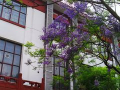 -四川大学(望江校区)