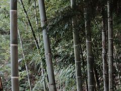 -东南悬空寺方广岩