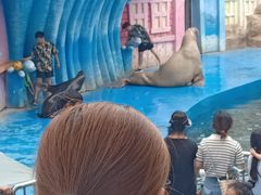 -华夏文旅海洋公园