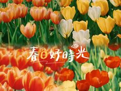 -国家植物园