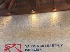 -三亚亚龙湾人间天堂鸟巢度假村