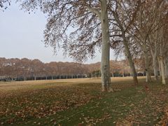 -河南省黄河迎宾馆