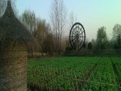 -溱湖国家湿地公园