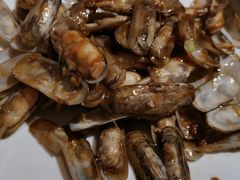 -东来菜馆•手抓海鲜家常菜•海鲜锅贴(鸽子窝店)