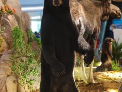 -正佳自然科学博物馆