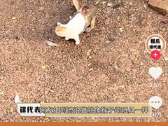 -昆明动物园