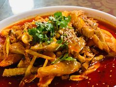 -青城甲(青城山店)