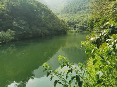 -紫云谷景区