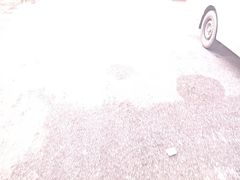 -湖锦酒楼·旗舰店(三阳总店)