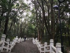 -灵岩山风景区