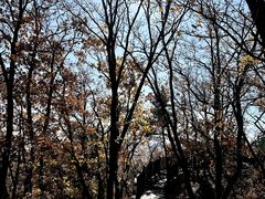 -帽儿山国家森林公园