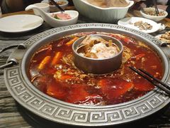-杨肥肠火锅大排档(火车站花园店)