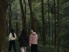 -峨眉山报国寺