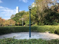-九龙公园