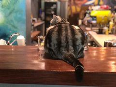 -咖法森林·咖啡  酒吧(天河店)