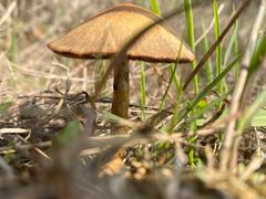 -北仑森林植物园