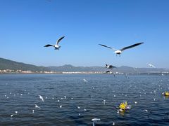 -海埂大坝