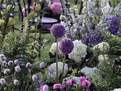 -广交会威斯汀酒店