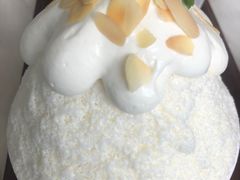 榴莲肉加芝士蛋糕-丹礼糖甜品