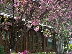 -时光吧·大堂吧·丽江和府洲际度假酒店